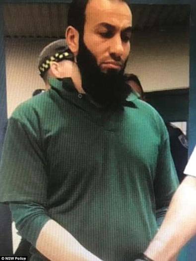 Revelations about the jailhouse bust-up came after Hamzy (pictured) - founder of Sydney gang 'Brothers 4 Life' - was unable to represent himself in the New South Wales District Court