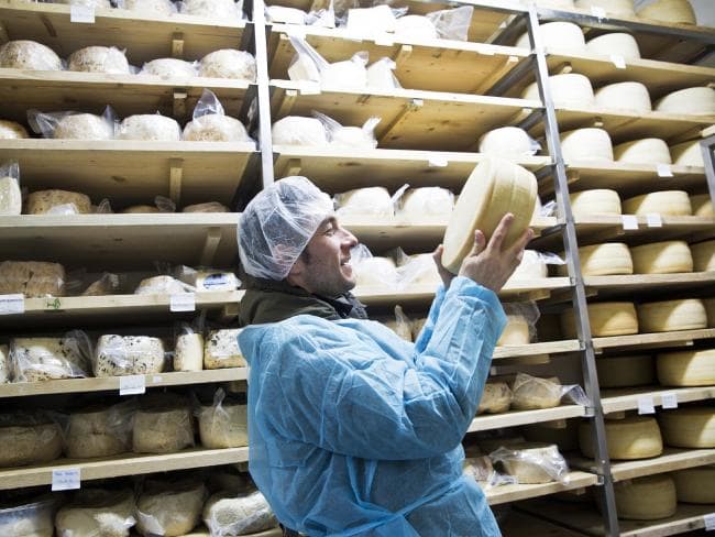 Frederico in the cheese factory ... The dairy shed produces 4000 litres a day of milk that gets used to make a range of cheeses at its factory. Picture: Ella Pellegrini