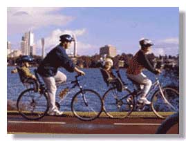 Family riding bikes